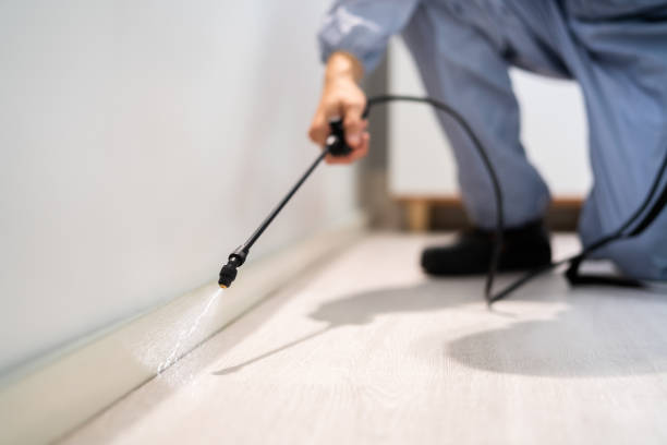 Licensed Pest Control service in Ashville, OH - Show Me Pest Control