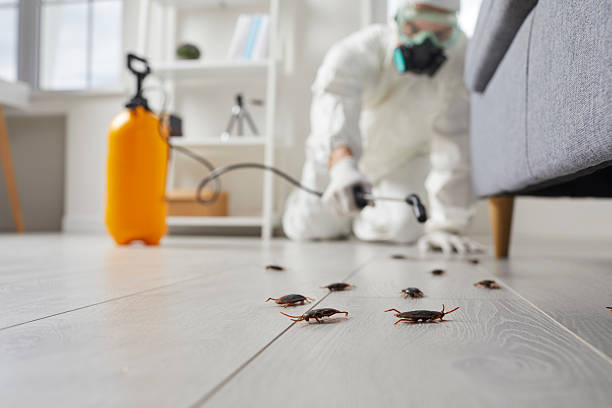 Post-Treatment Bed Bug Interceptor Monitoring in Ashville