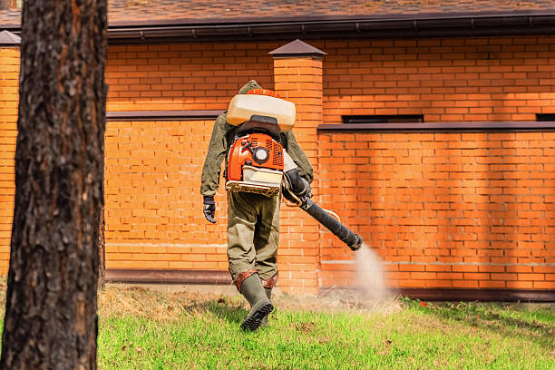 Bed Bug Clearance Verification and Documentation in Ashville